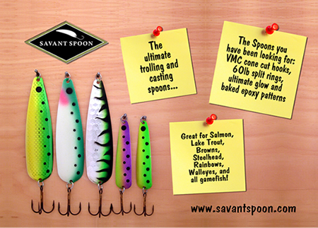 savant